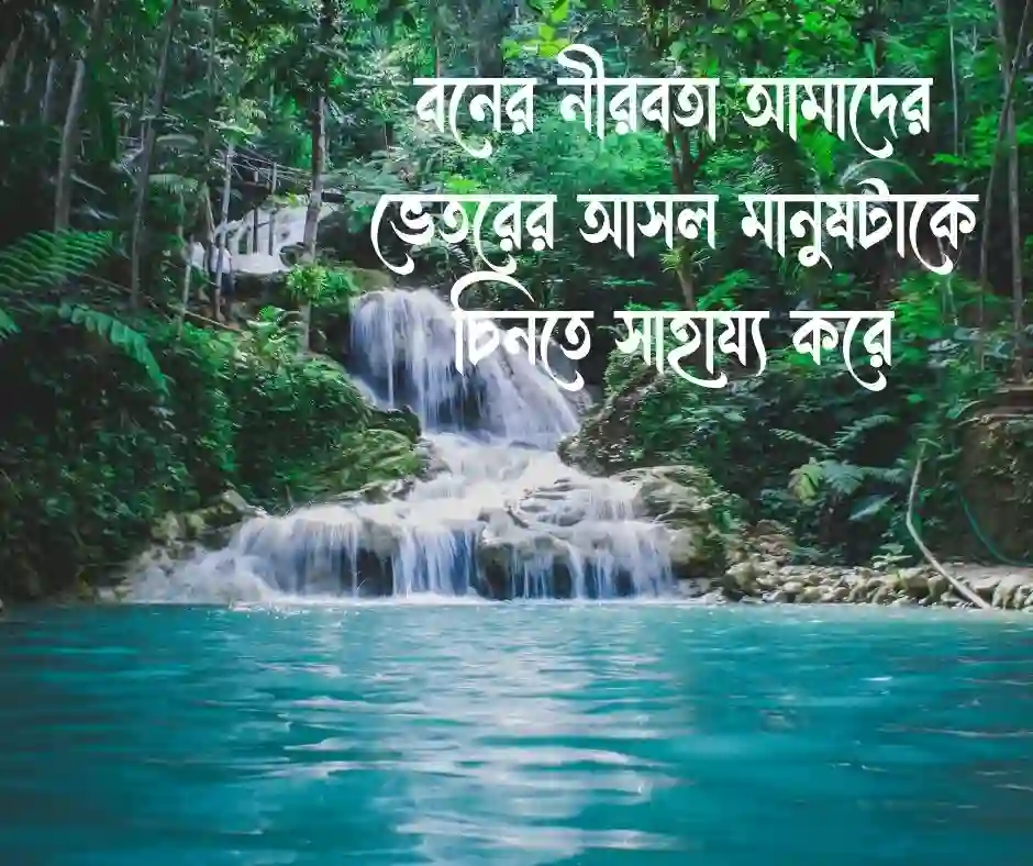 প্রকৃতি নিয়ে ক্যাপশন Nature Caption Bangla