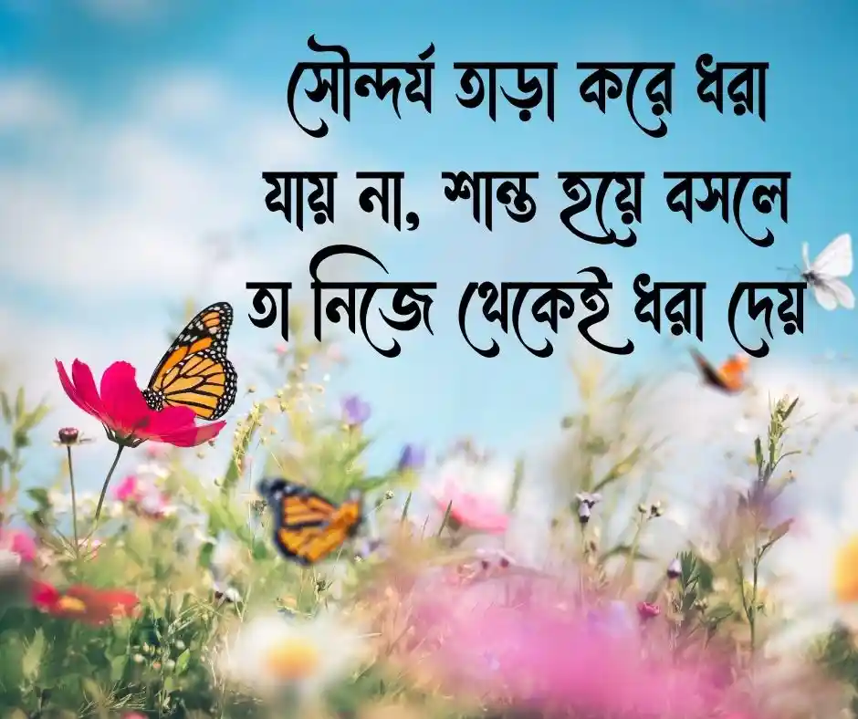 প্রজাপতি নিয়ে উক্তি