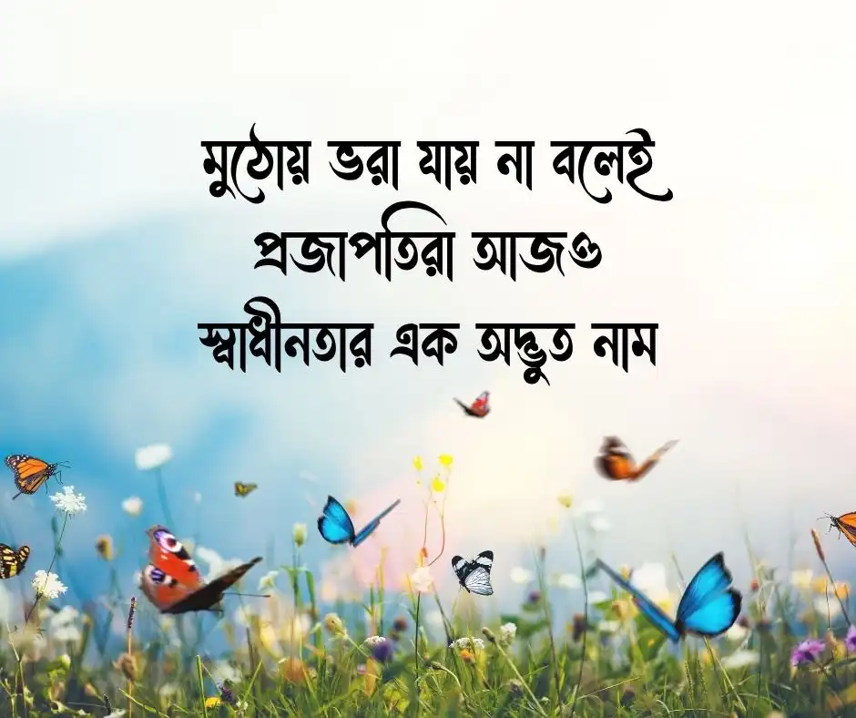 প্রজাপতি নিয়ে ক্যাপশন Butterflies Caption (1)