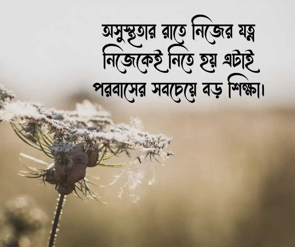 প্রবাস জীবন নিয়ে স্ট্যাটাস