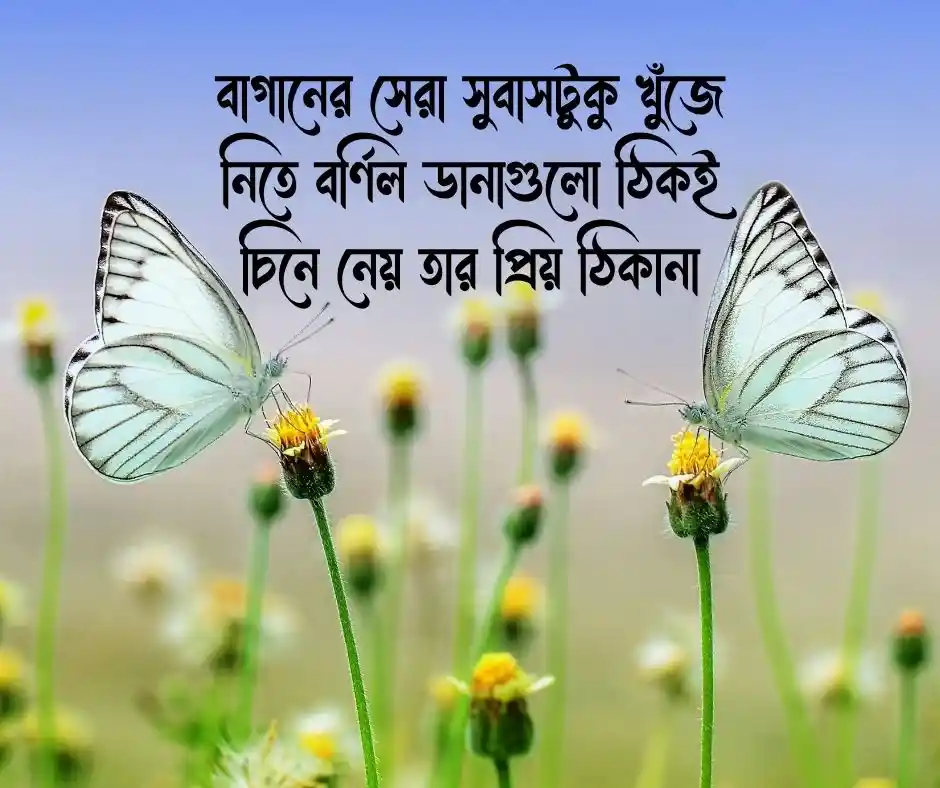 ফুল ও প্রজাপতি নিয়ে ক্যাপশন