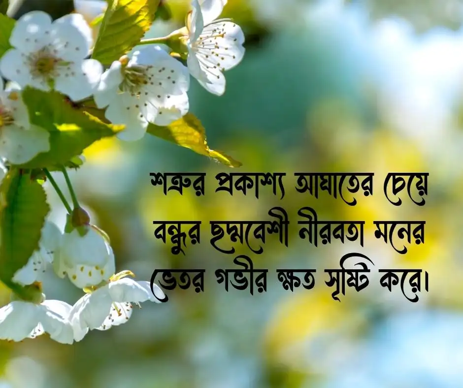 বন্ধু নিয়ে উক্তি