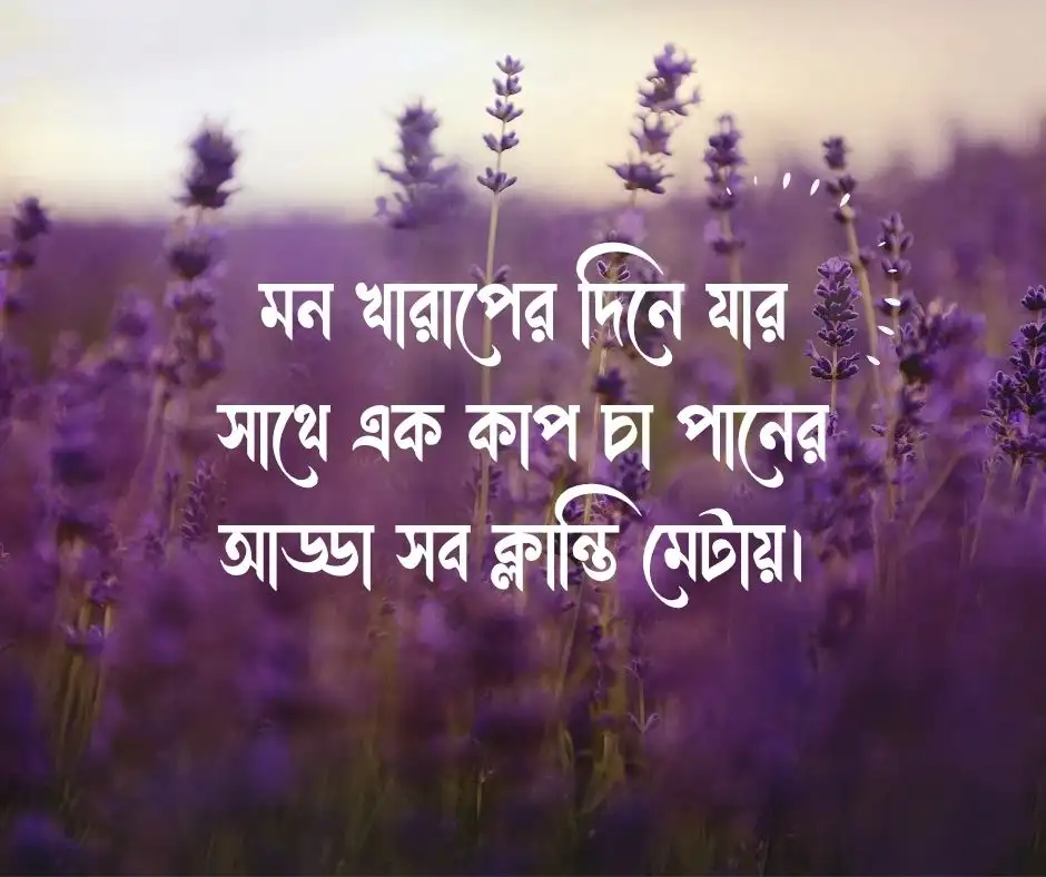 বন্ধু নিয়ে স্ট্যাটাস