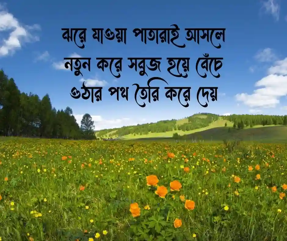বসন্ত নিয়ে উক্তি