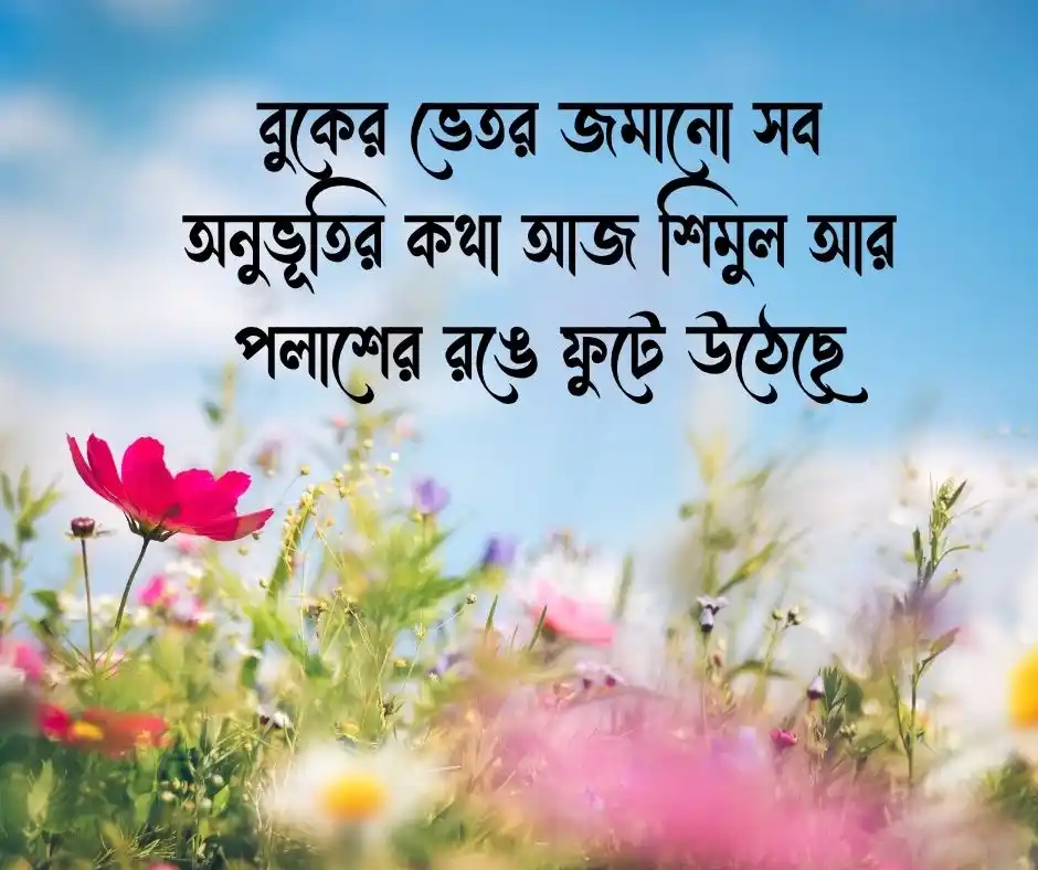 বসন্ত নিয়ে ক্যাপশন