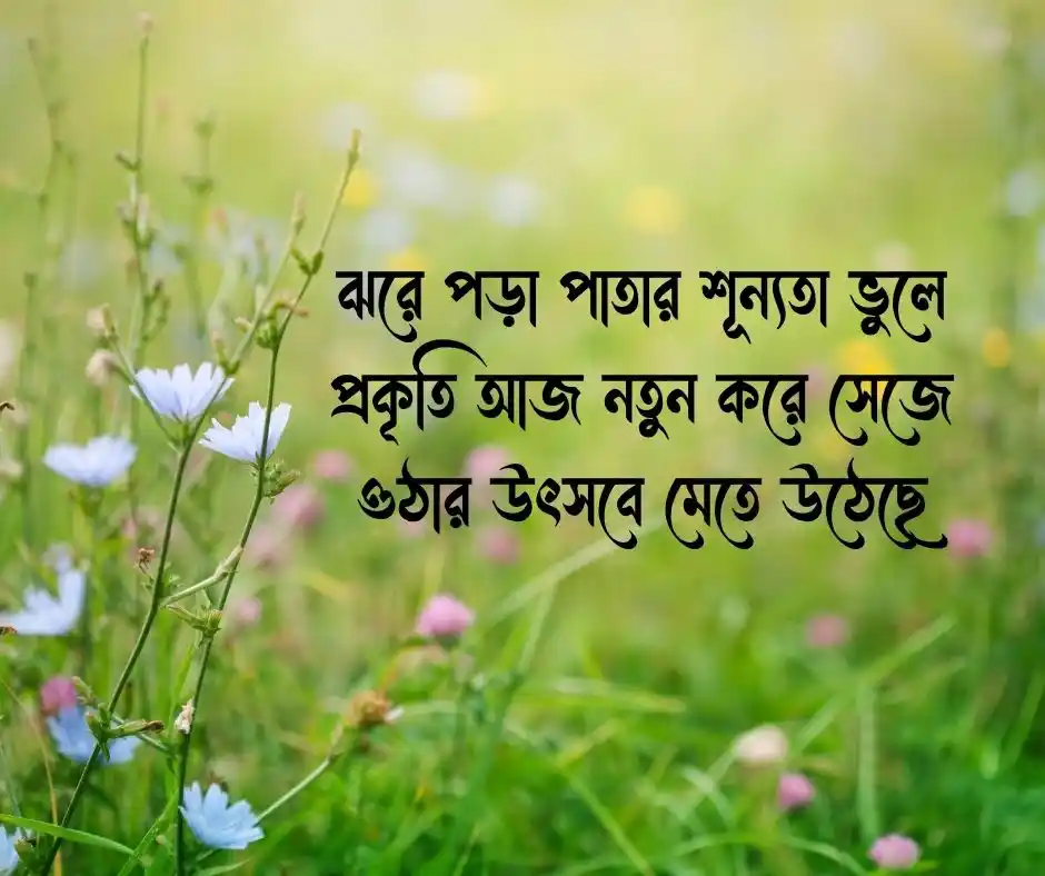 বসন্ত নিয়ে ক্যাপশন