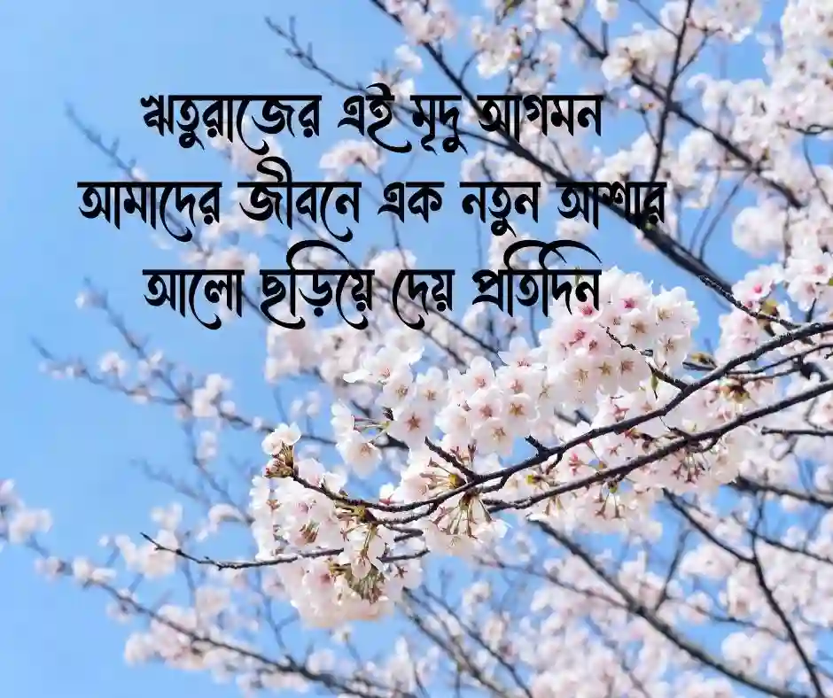 বসন্ত নিয়ে ছোট ক্যাপশন