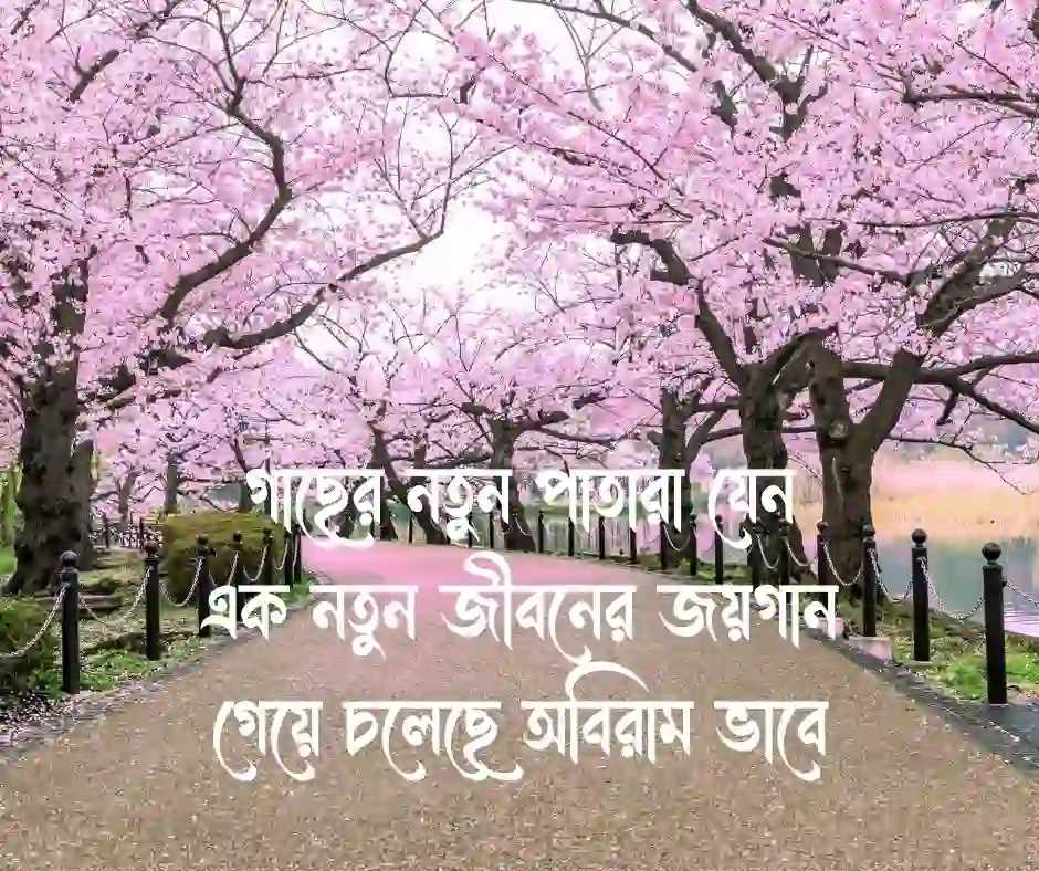 বসন্ত নিয়ে ছোট ক্যাপশন