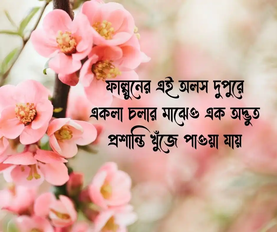 বসন্ত নিয়ে স্ট্যাটাস