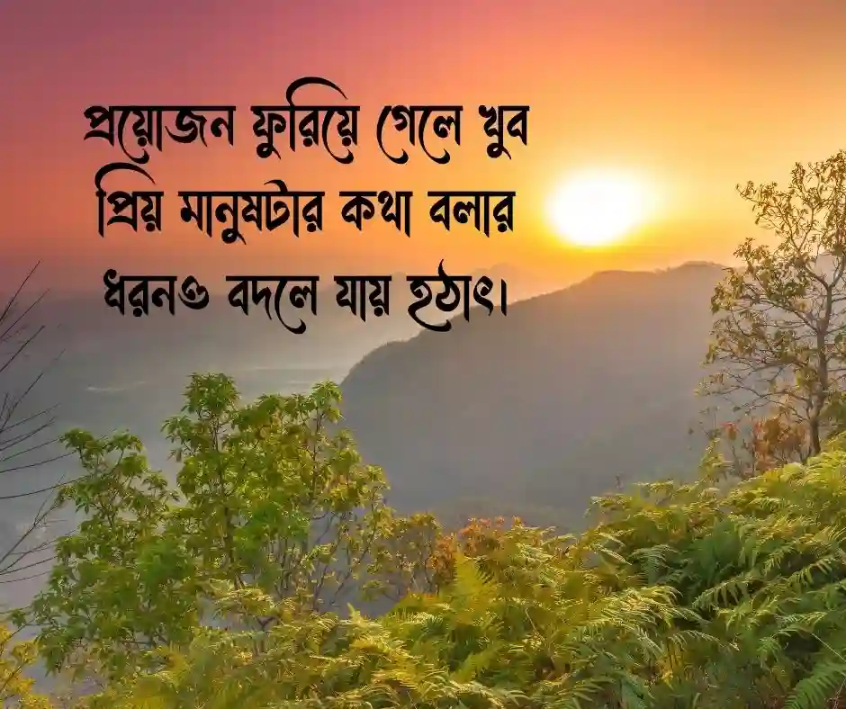 বাস্তব জীবন নিয়ে স্ট্যাটাস
