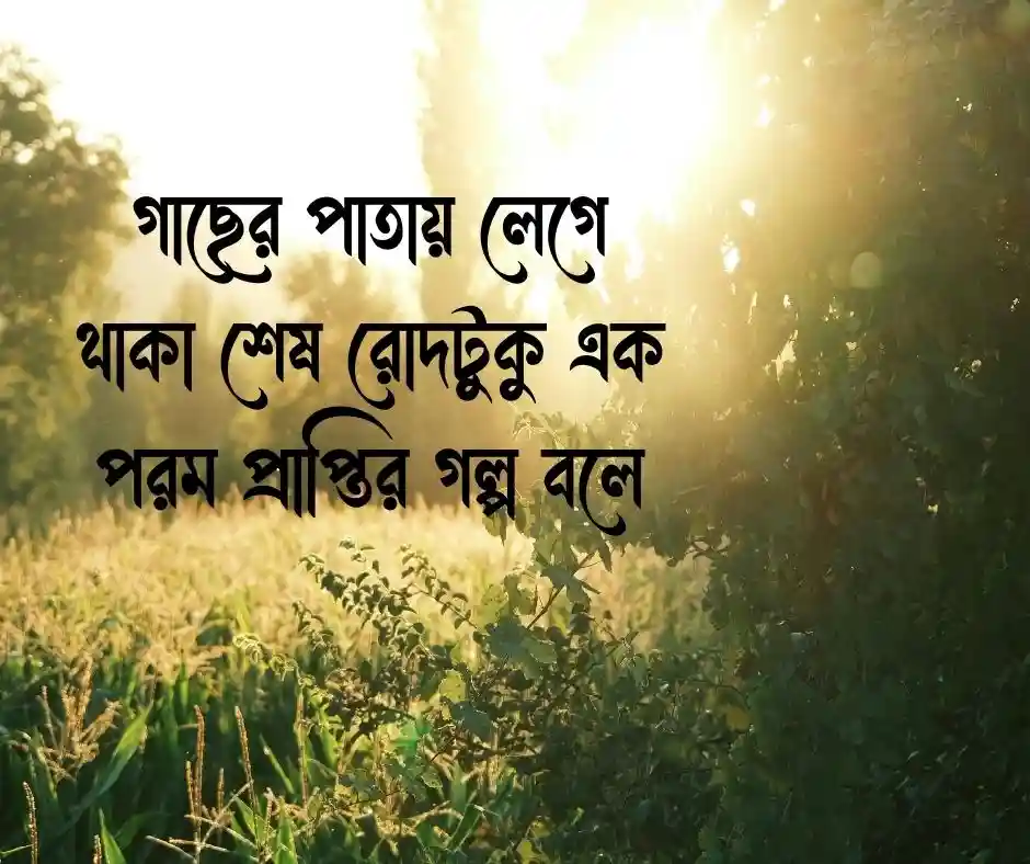 বিকেলের প্রকৃতি নিয়ে ক্যাপশন ও গোধূলির মায়া
