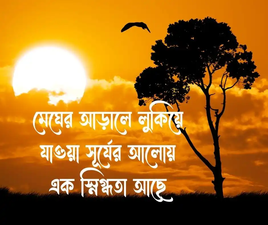 বিকেলের প্রকৃতি নিয়ে ক্যাপশন