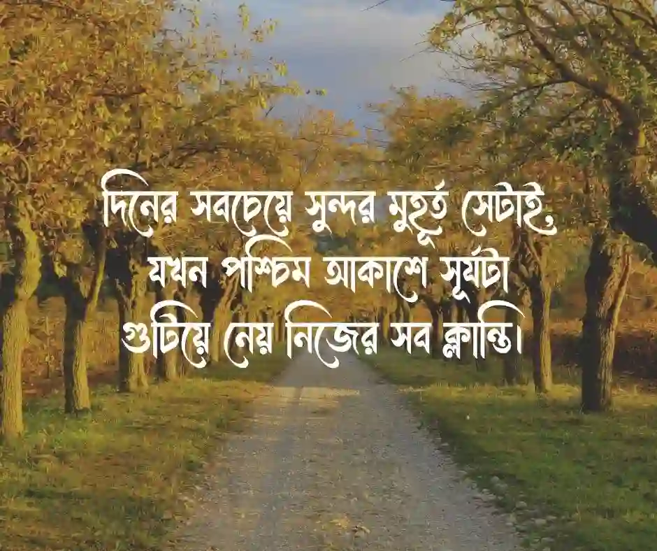 বিকেল নিয়ে ক্যাপশন