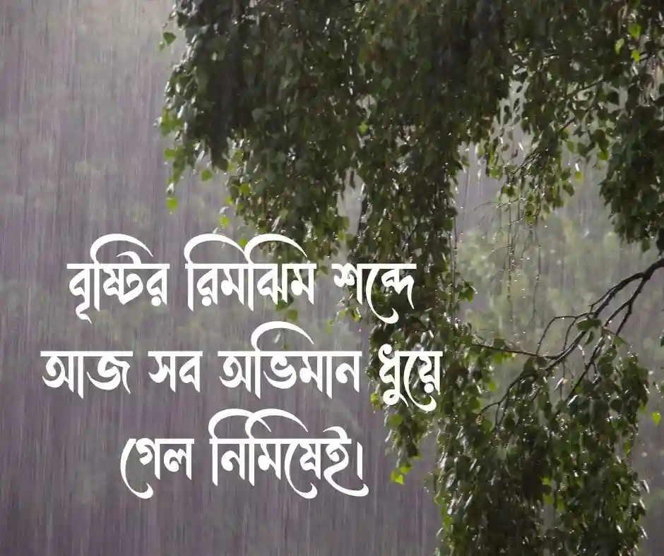 বৃষ্টি নিয়ে ক্যাপশন বৃষ্টি নিয়ে স্ট্যাটাস
