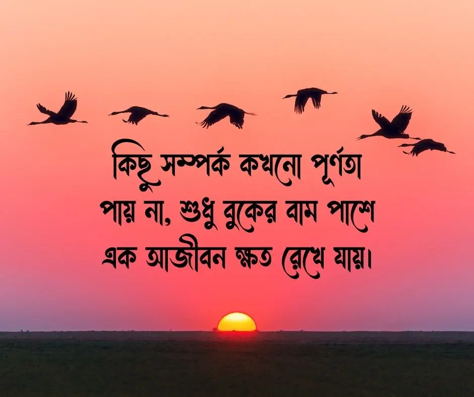 ভালোবাসার কষ্টের স্ট্যাটাস ভালোবাসার কষ্টের উক্তি