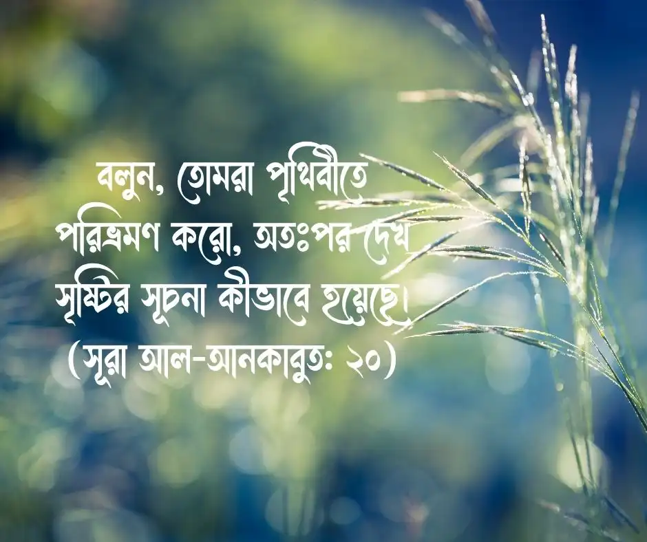 ভ্রমণ নিয়ে কোরআনের আয়াত