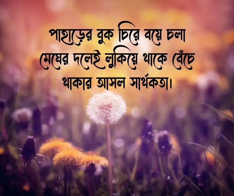 ভ্রমণ নিয়ে ক্যাপশন ঘুরাঘুরি নিয়ে ক্যাপশন
