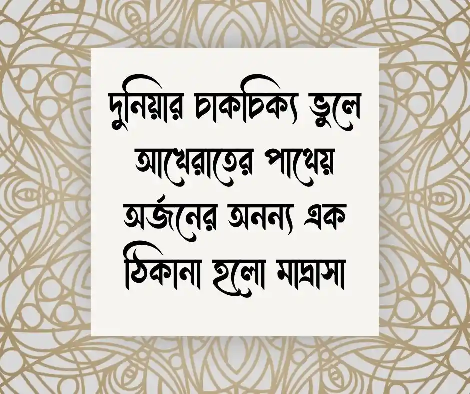 মাদ্রাসা নিয়ে স্ট্যাটাস Status about Madrasa
