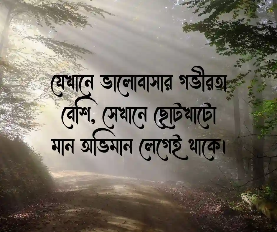 মান অভিমান নিয়ে ক্যাপশন মান অভিমান নিয়ে উক্তি