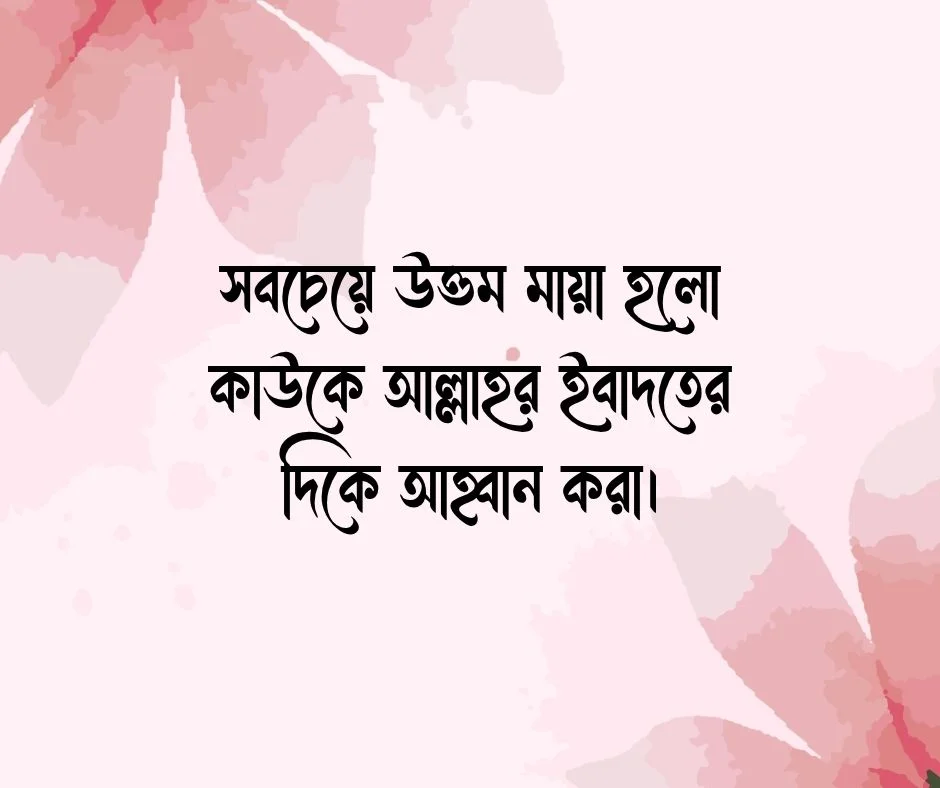 মায়া নিয়ে ইসলামিক উক্তি