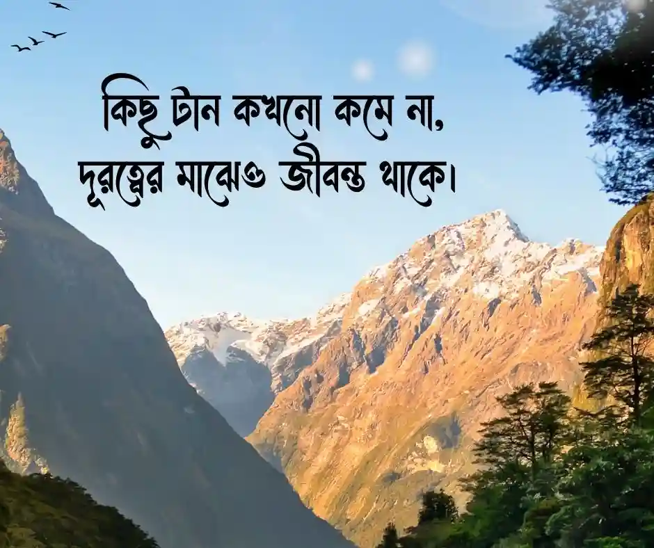মায়া নিয়ে ক্যাপশন