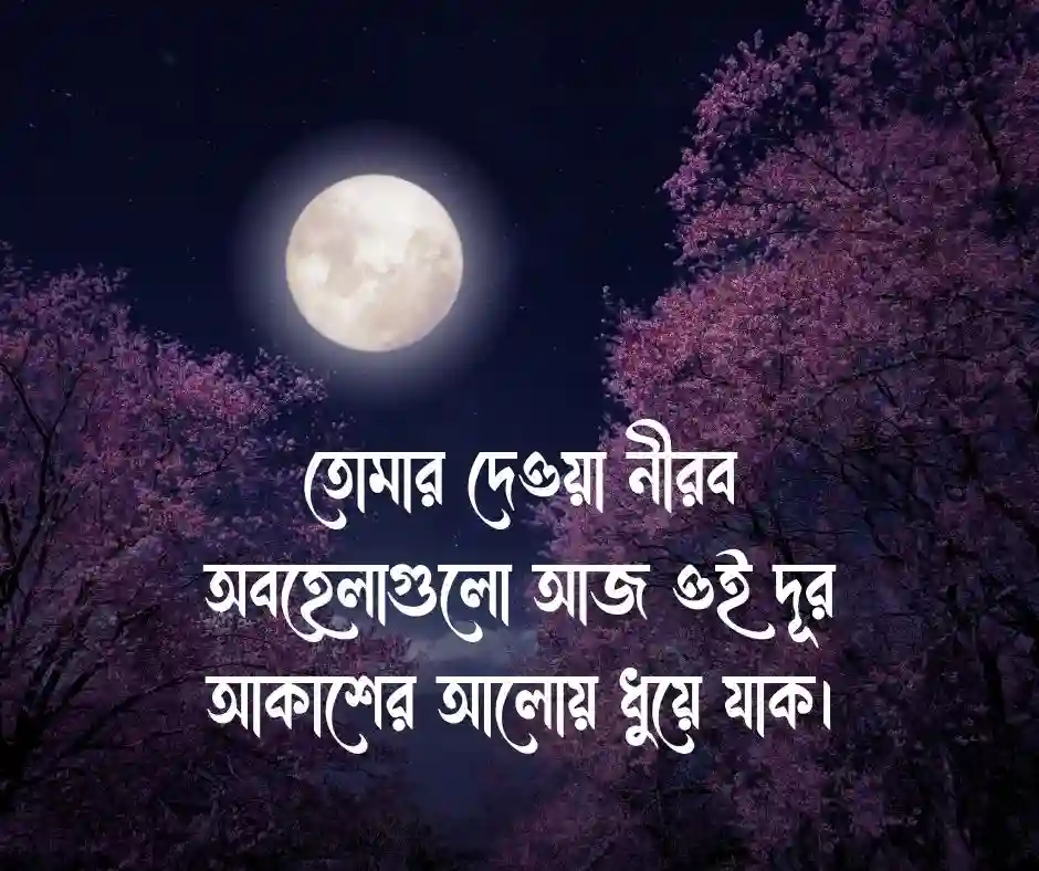 রাতের চাঁদ নিয়ে ক্যাপশন