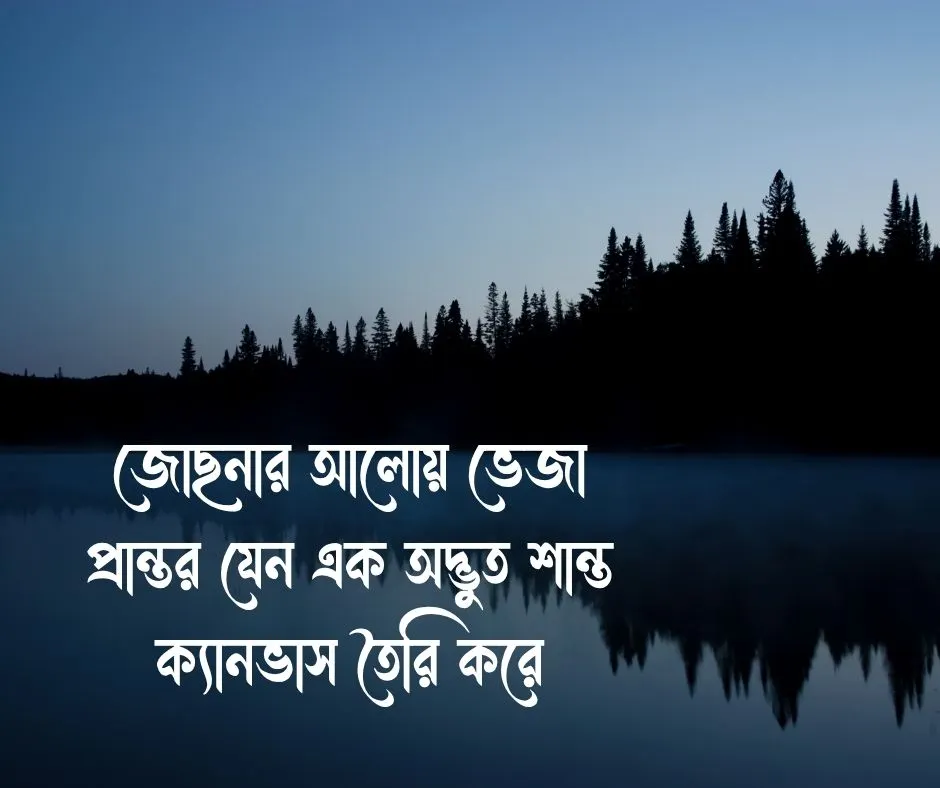 রাতের প্রকৃতি নিয়ে ক্যাপশন
