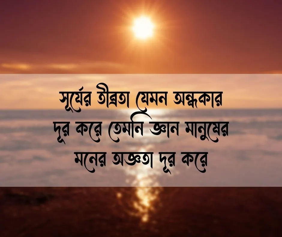শুভ দুপুর নিয়ে উক্তি
