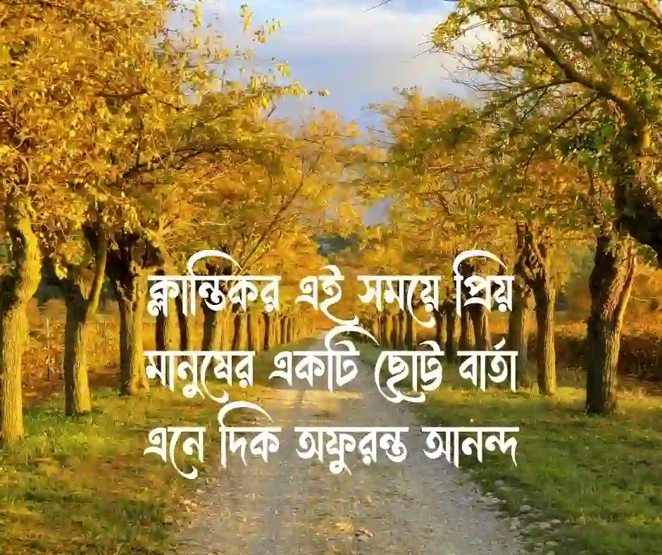 শুভ দুপুর স্ট্যাটাস
