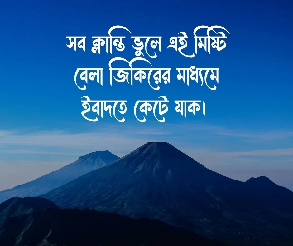 শুভ বিকেল নিয়ে ইসলামিক ক্যাপশন
