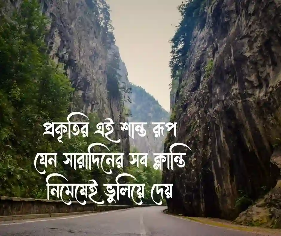 শুভ সন্ধ্যা ক্যাপশন । শুভ সন্ধ্যা নিয়ে ক্যাপশন