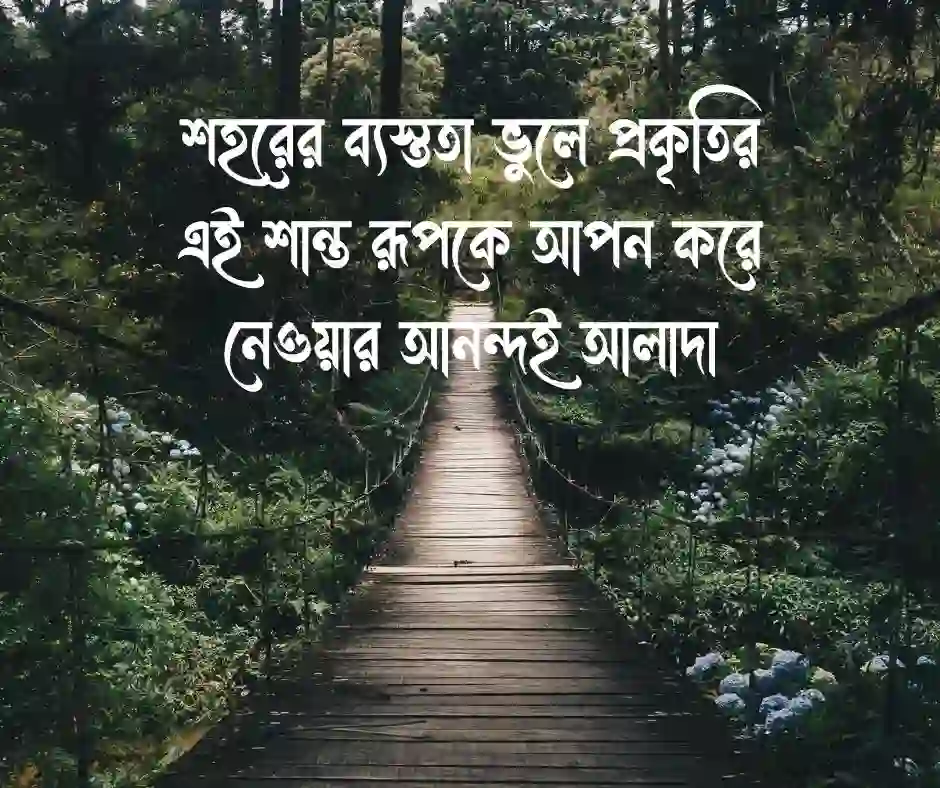 শুভ সন্ধ্যা ক্যাপশন বাংলা