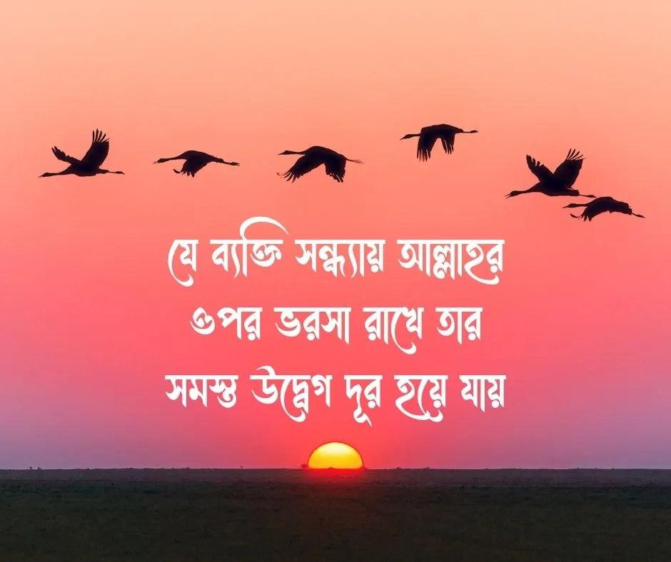 শুভ সন্ধ্যা নিয়ে ইসলামিক উক্তি