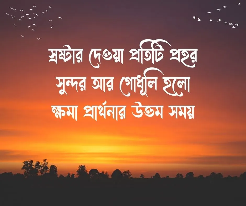 শুভ সন্ধ্যা নিয়ে ইসলামিক ক্যাপশন