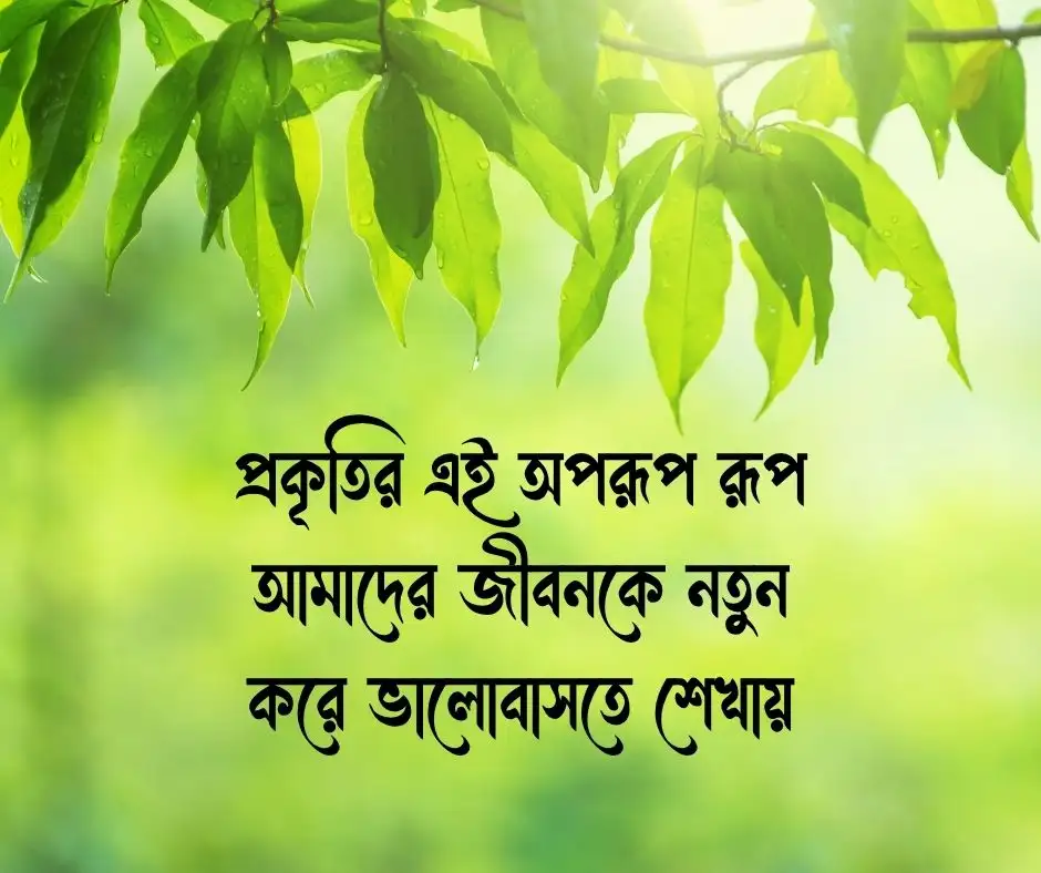 সবুজ প্রকৃতি নিয়ে ক্যাপশন Nature Caption