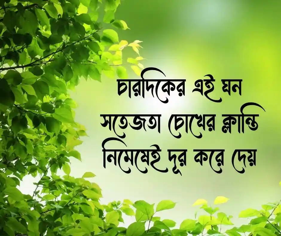 সবুজ প্রকৃতি নিয়ে ক্যাপশন Nature Caption