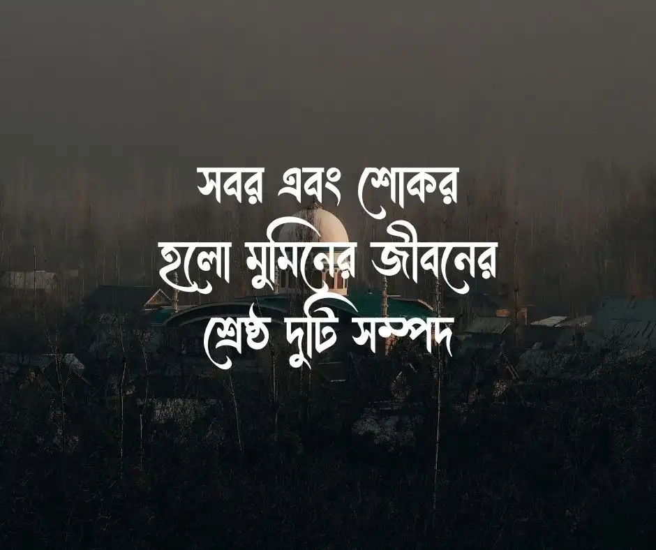 সুন্দর ইসলামিক স্ট্যাটাস Islamic Status Bangla