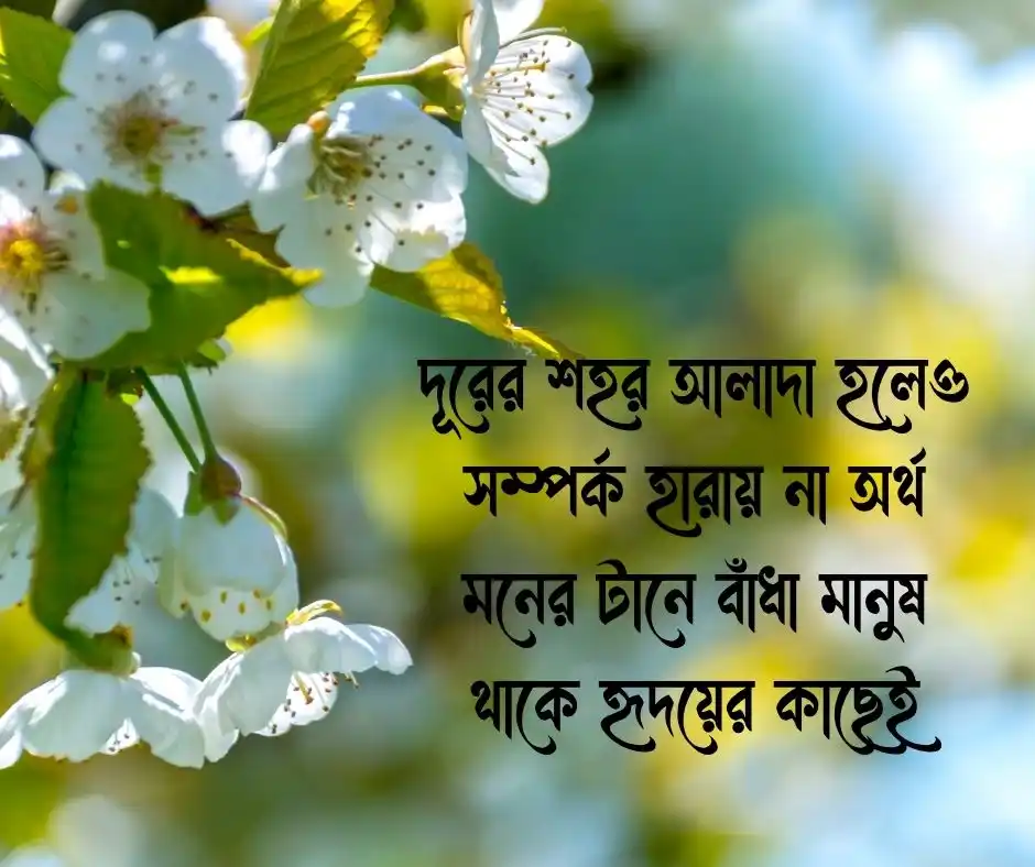 সুন্দর ছন্দ Beautiful Rhythm