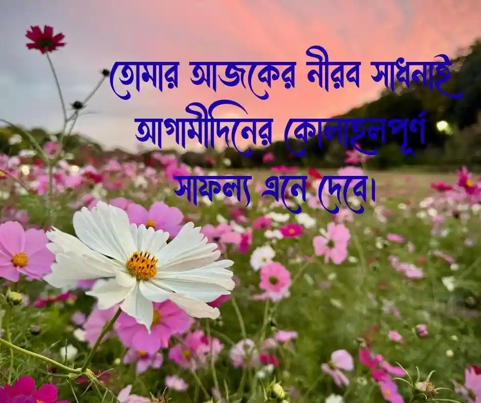 সেরা অনুপ্রেরণামূলক উক্তি মোটিভেশনাল স্ট্যাটাস