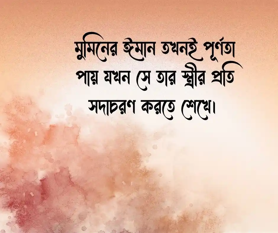 স্ত্রীকে নিয়ে ইসলামিক স্ট্যাটাস