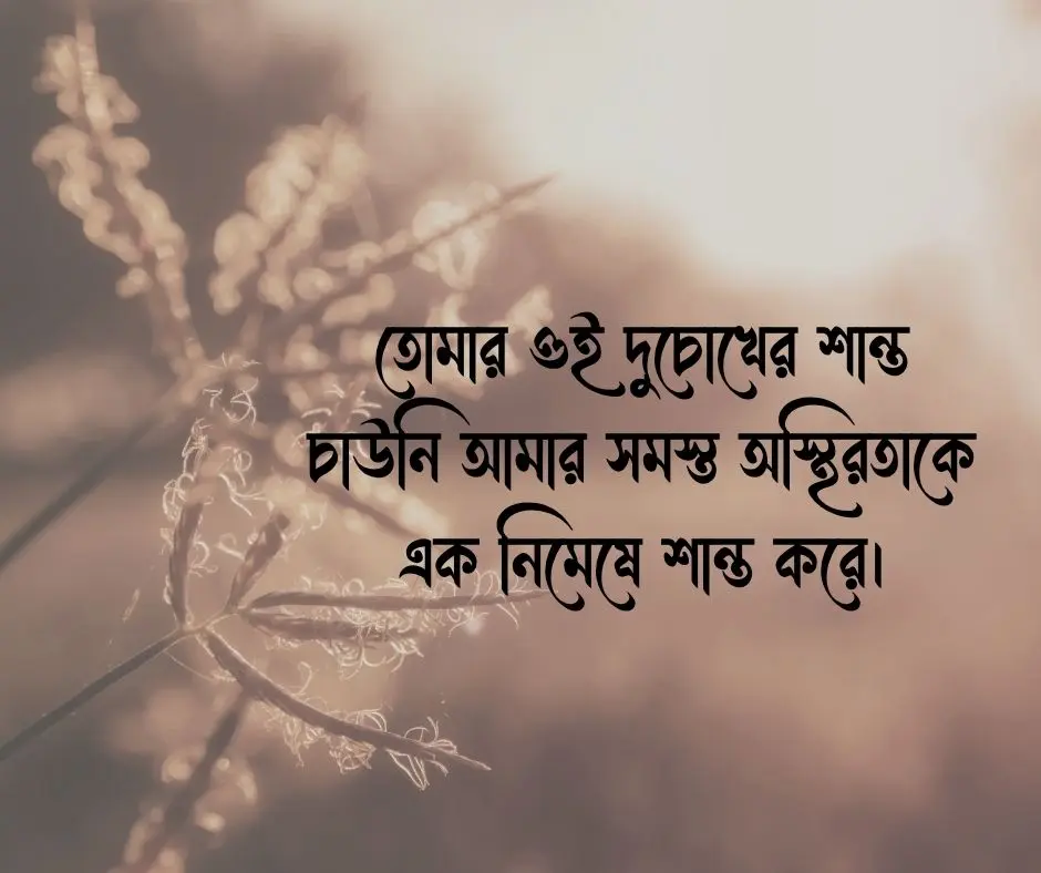 স্ত্রীকে নিয়ে ভালোবাসার স্ট্যাটাস Love Status for Wife