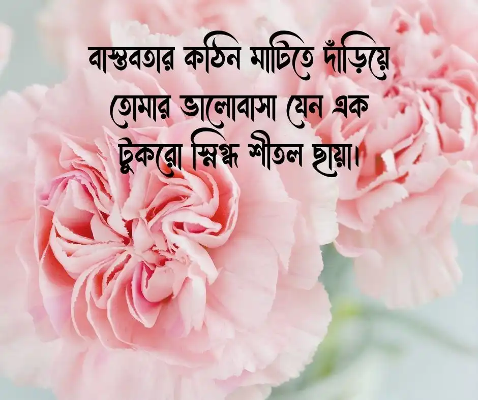 স্বামীকে নিয়ে স্ট্যাটাস Status about Husband