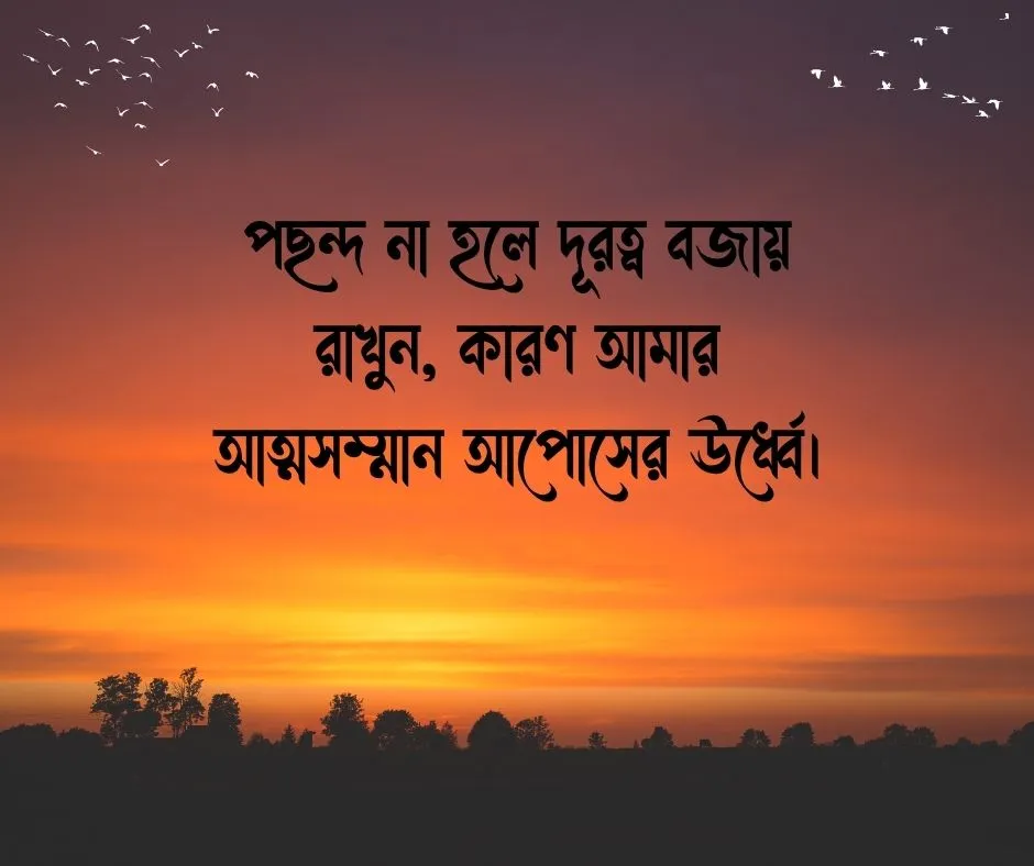 Facebook Bio Attitude বাংলা ফেসবুকের জন্য অ্যাটিটিউড বায়ো