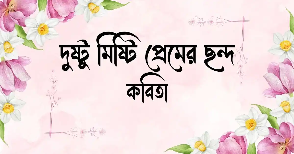দুষ্টু মিষ্টি প্রেমের ছন্দ ও কবিতা