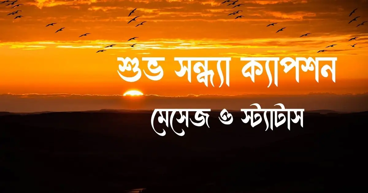 শুভ সন্ধ্যা ক্যাপশন, মেসেজ ও স্ট্যাটাস