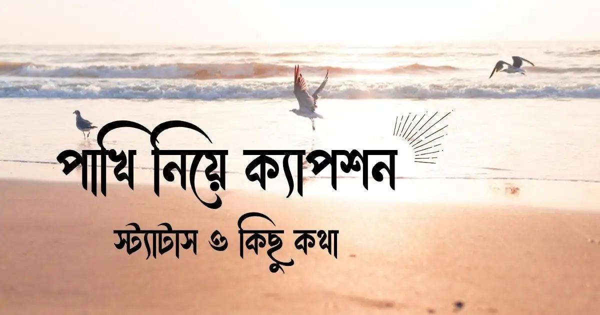 পাখি নিয়ে ক্যাপশন, স্ট্যাটাস ও কিছু কথা