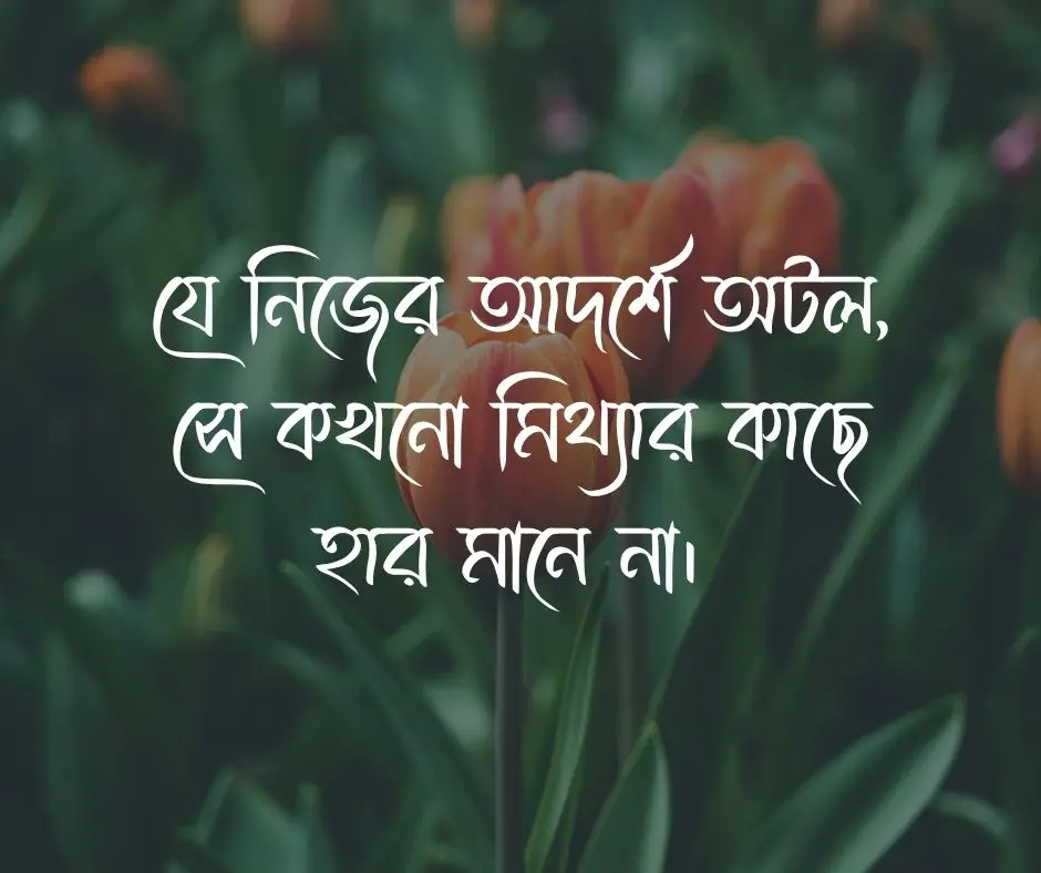 আদর্শ নিয়ে ক্যাপশন