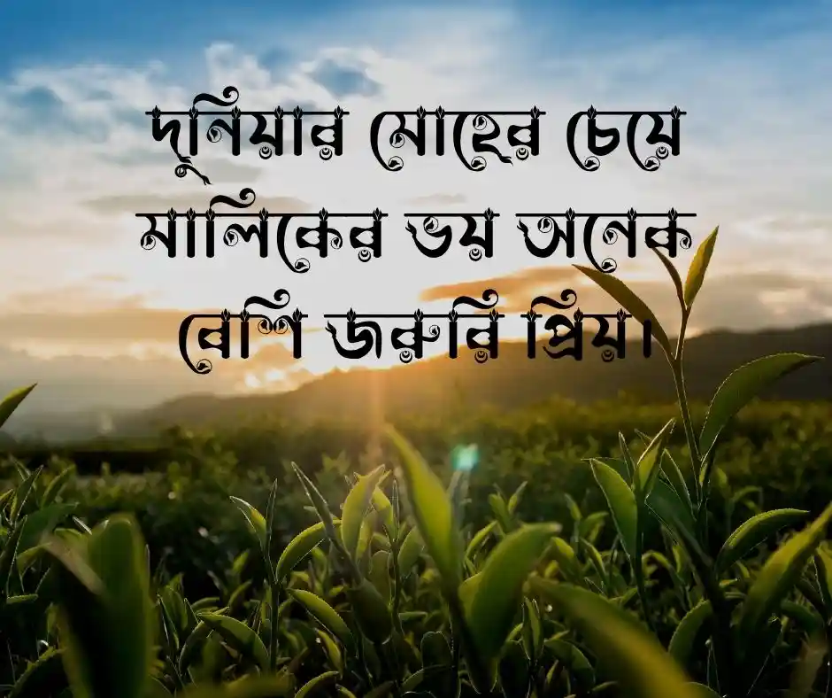 আল্লাহর ভয় নিয়ে স্ট্যাটাস