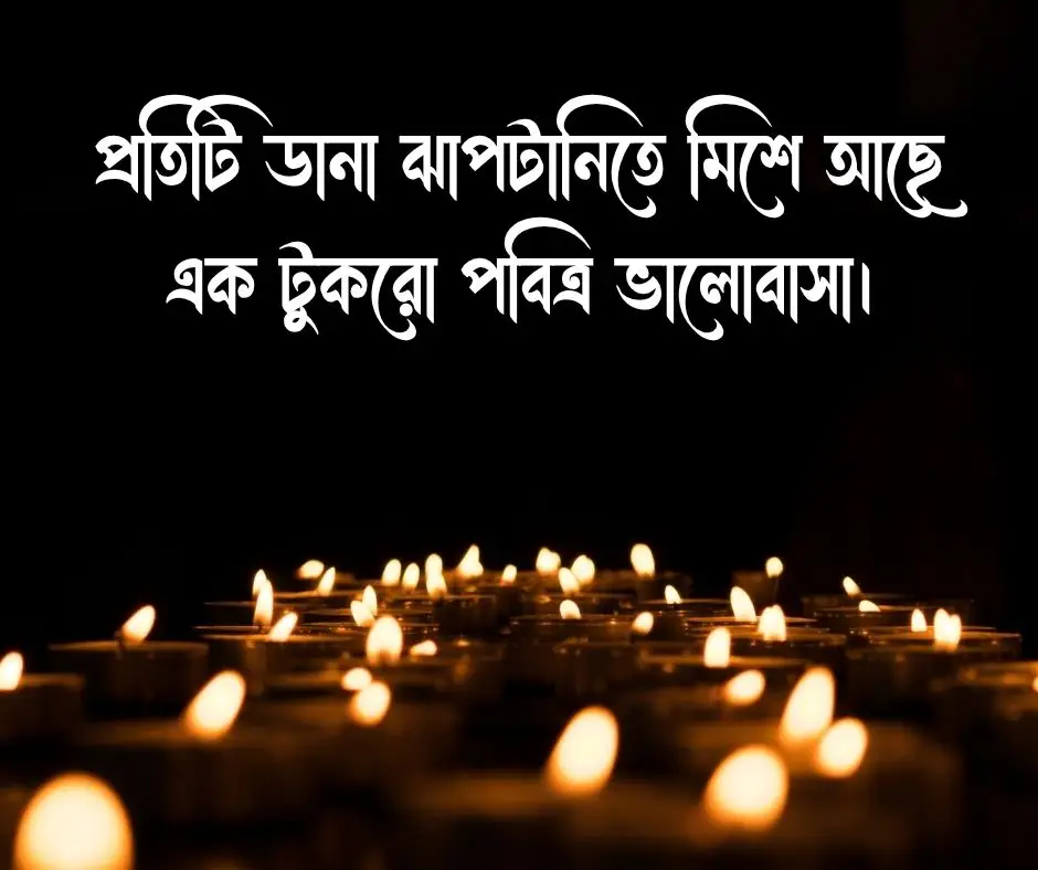 কবুতর নিয়ে ক্যাপশন