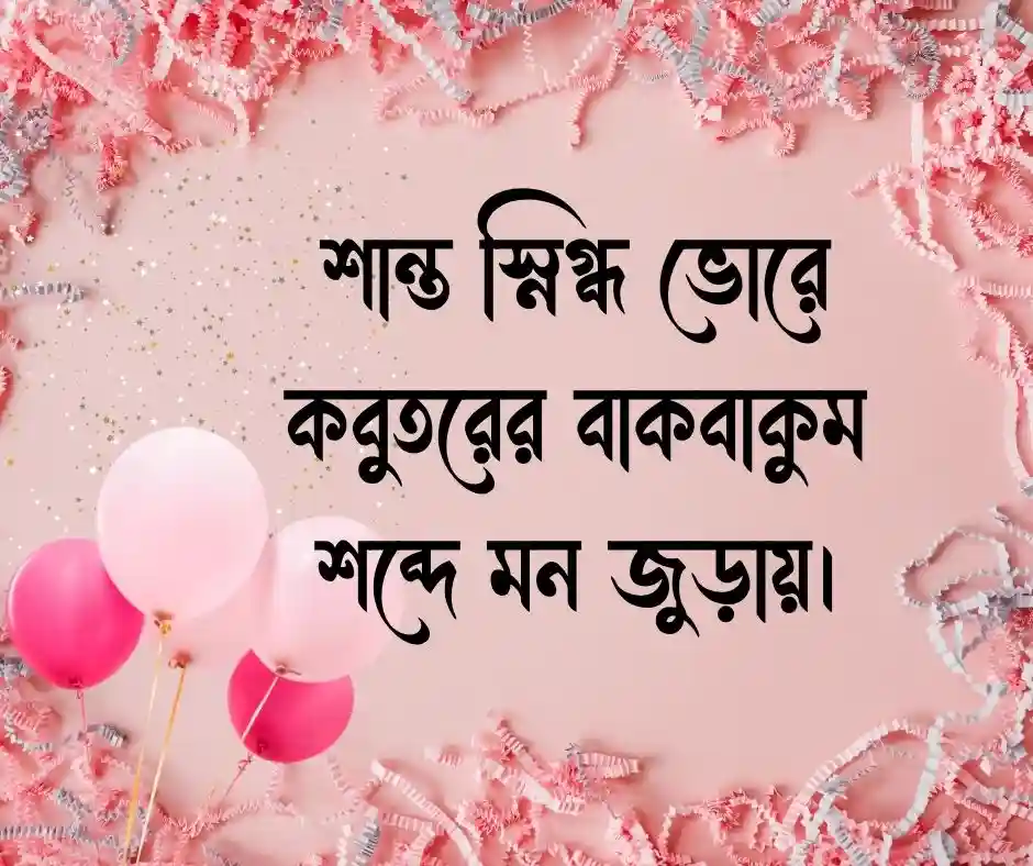 কবুতর নিয়ে ক্যাপশন